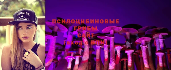 прущий лед Белоозёрский